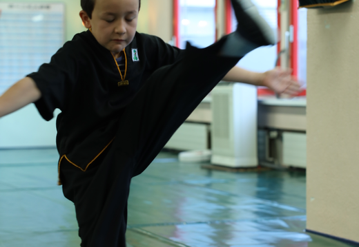 2020 Herbst Kinder Kung Fu Prüfung in Zürich Altstetten 