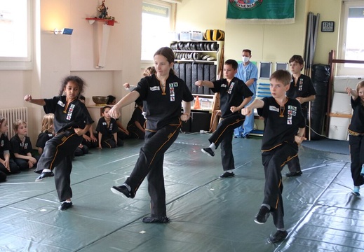 SKEMA Kinder Kung Fu Prüfung 2-7 Bern Frühling 2021