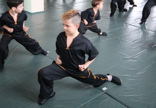 2022 Frühling Bern Kinder Kung Fu 1