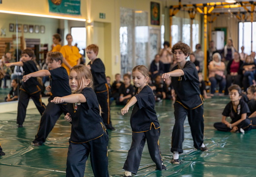 KinderKungFu 3-5 012